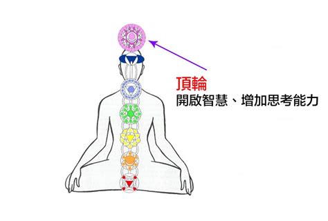 頂輪位置|頂輪：開啟智慧、增加思考能力 